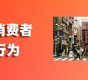 市場解析 | 做跨境電商時意外發(fā)現(xiàn)了日本人消費(fèi)心理