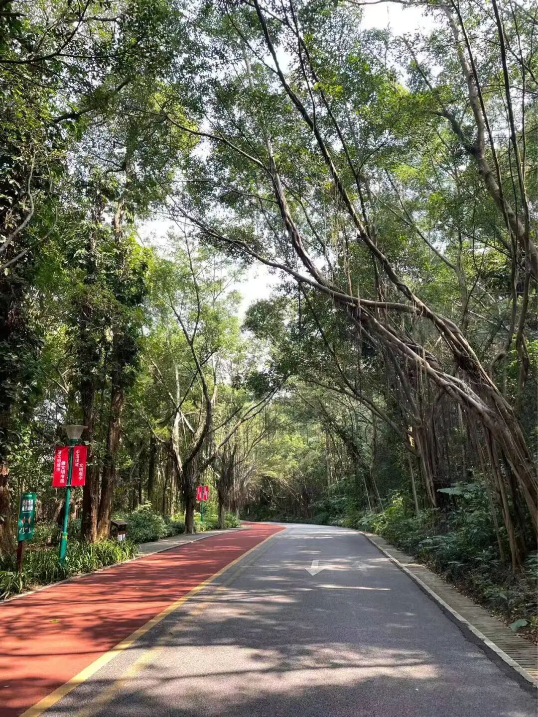 帶薪旅游Plog | 跨境電商打工人“班味”去除計劃圓滿成功！插圖7愛亞倉