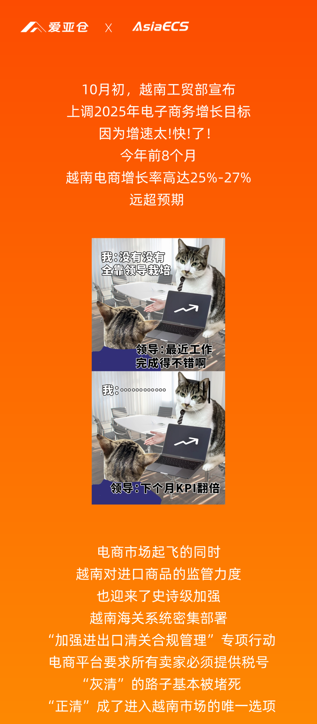 散貨越南正清難？「拼好柜」助你輕松破解物流難題！插圖愛亞倉(cāng)