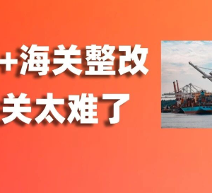 印尼海关大整改！滞留超90天货物或遭拍卖、1.6万名官员面临停职危机……