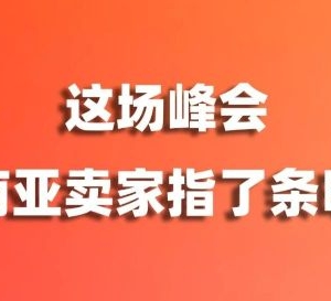 展会回顾 | 别再卷低价了！这场峰会，给东南亚卖家指了条明路